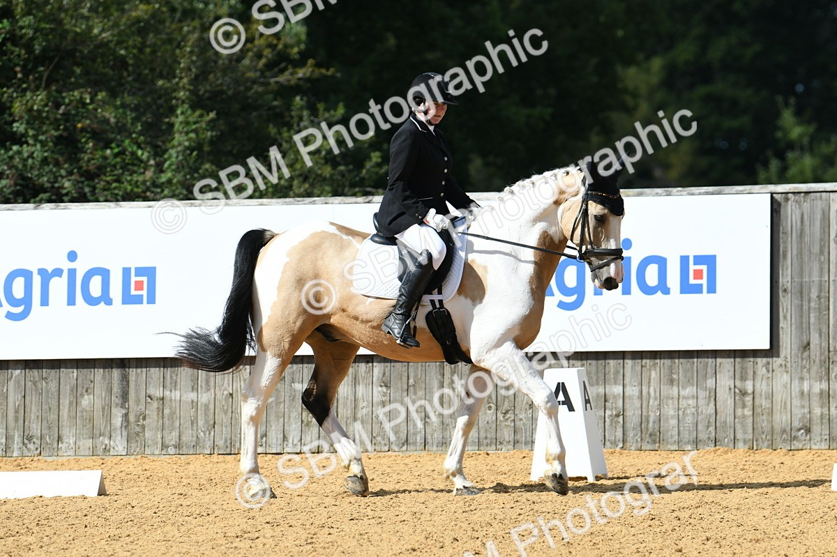 SBM_04450 - D7 Small Tour Championship Prelim 1