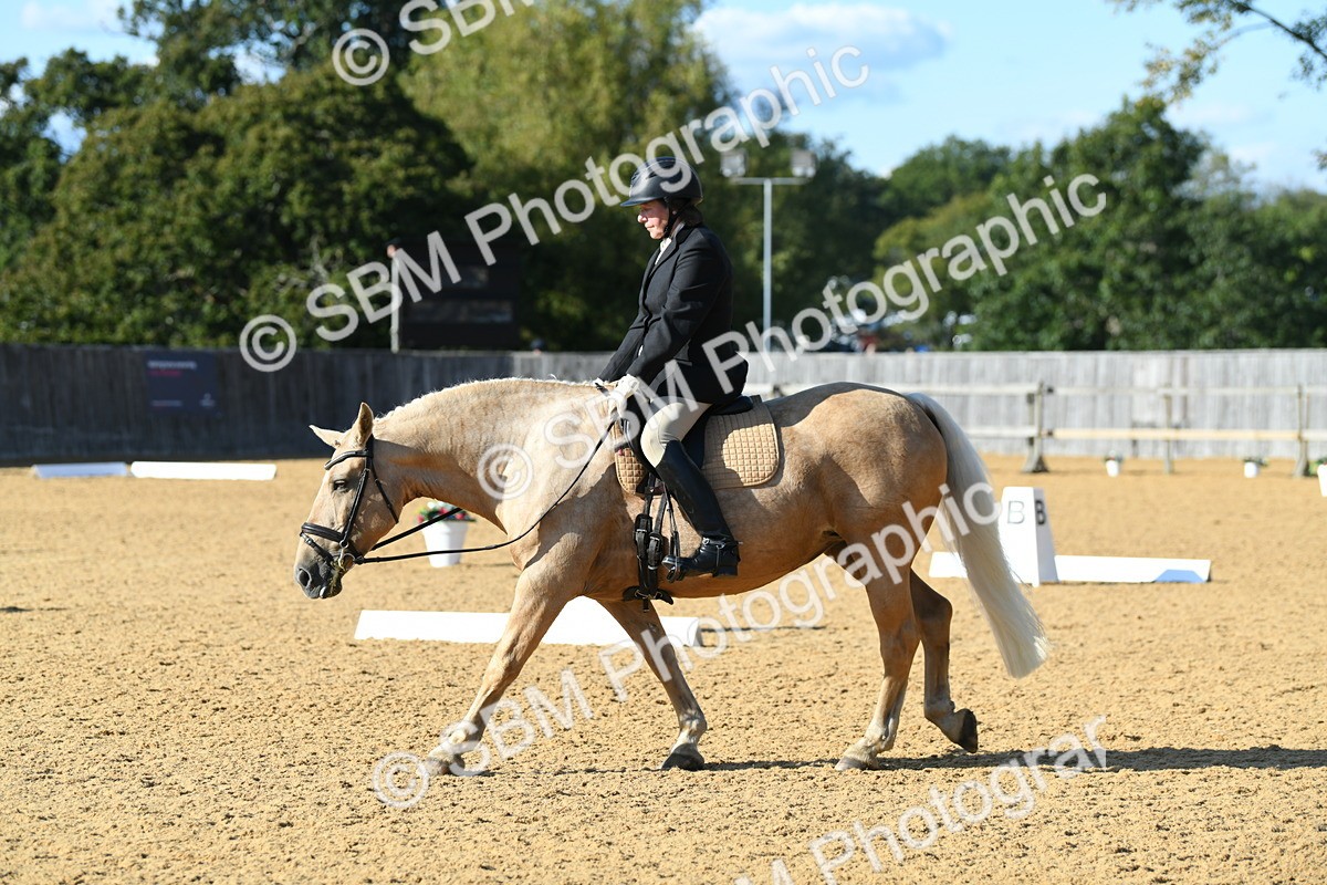 SBM_27253 - D16 - Small Tour Championship - Novice 28