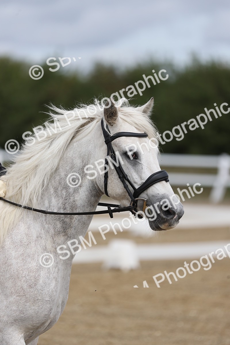 SBM_001466 - Class 2 - Intro 4 Champs - 10.56-11.44
