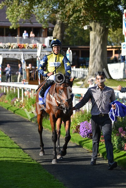 yr08102021r4-39 - Race 4 3.50pm Casumo Dare To be Different Handicap