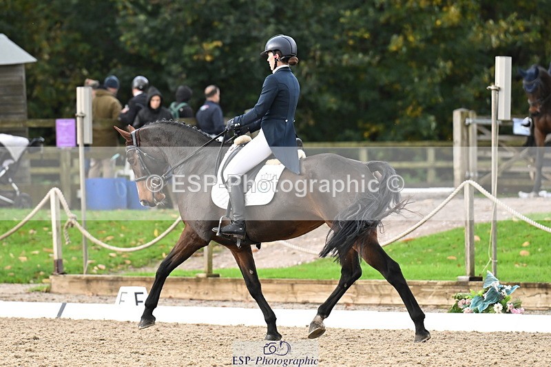 251023A-104506-01532 - B-131-Gemma.Gurvidi