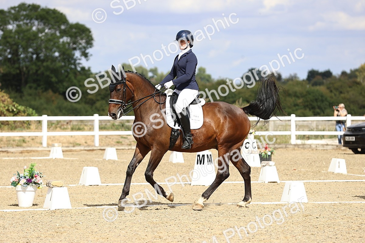 SBM_015207 - Class 5 - E5 Bronze 14.42.15.54