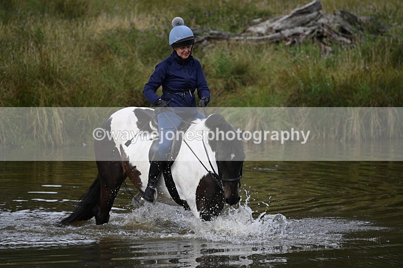 WJ7_1430 - Time at Water 10:09 to 10:47