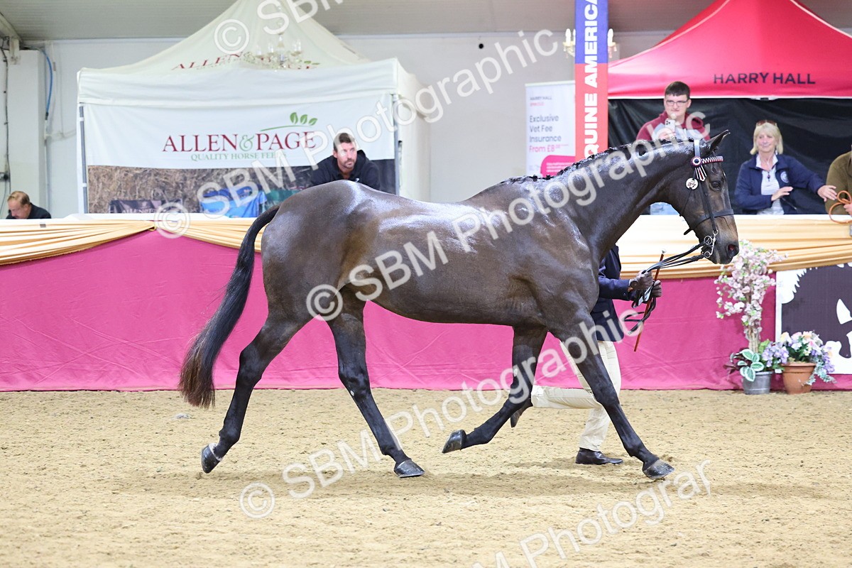 SBM_19608 - Class 901 - Supreme Final - IH Diamond