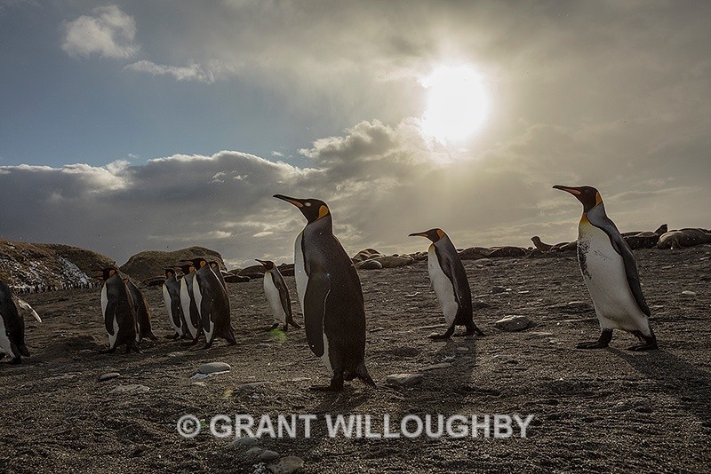  - Antartica