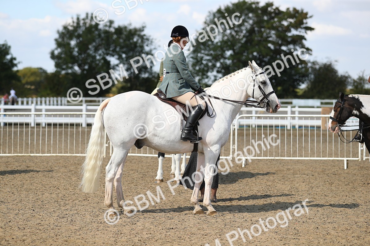 SBM_03251 - Class 44 Riding Club Horse/ Pony