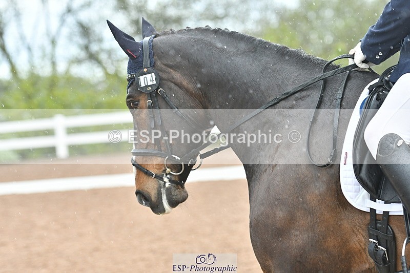 230511A-135210-00861 - BD Cls 13 Adv Medium 91