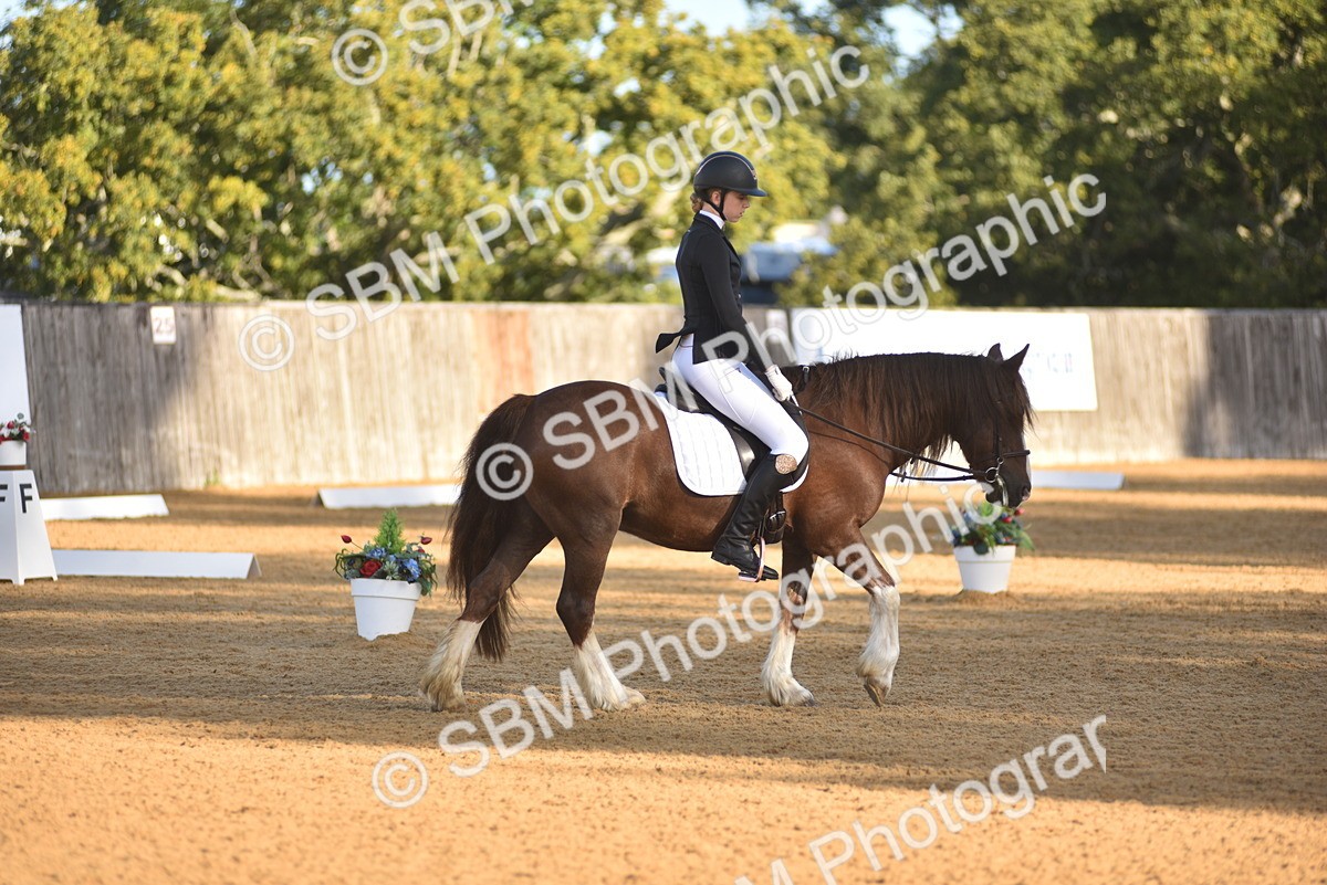 SBM_15693 - D4 - Small Tour Championship Intro 4