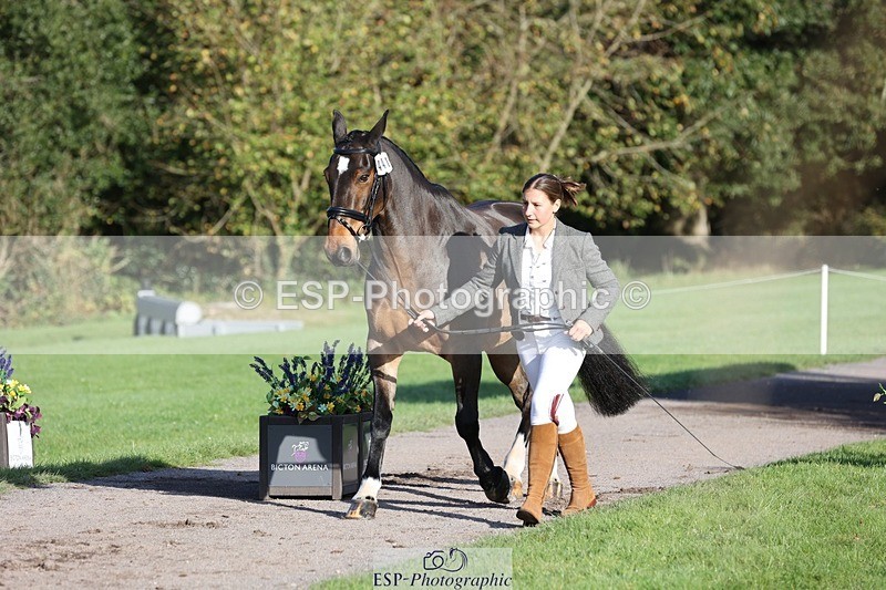 241027-093850-15410 - 441-Molly.Swain-SOCKS