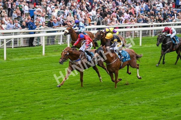 080925-Race 2-Alzahir-7419 - Race 2 3.00pm Sky Bet Super Sub Sprint Handicap