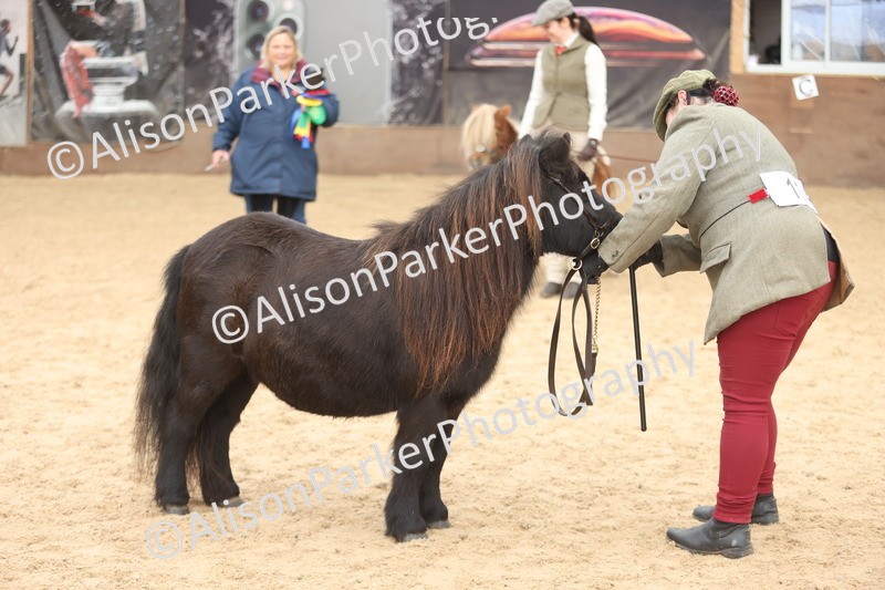 20251109-0318 - Class 13 - Mares 4 Years and Over