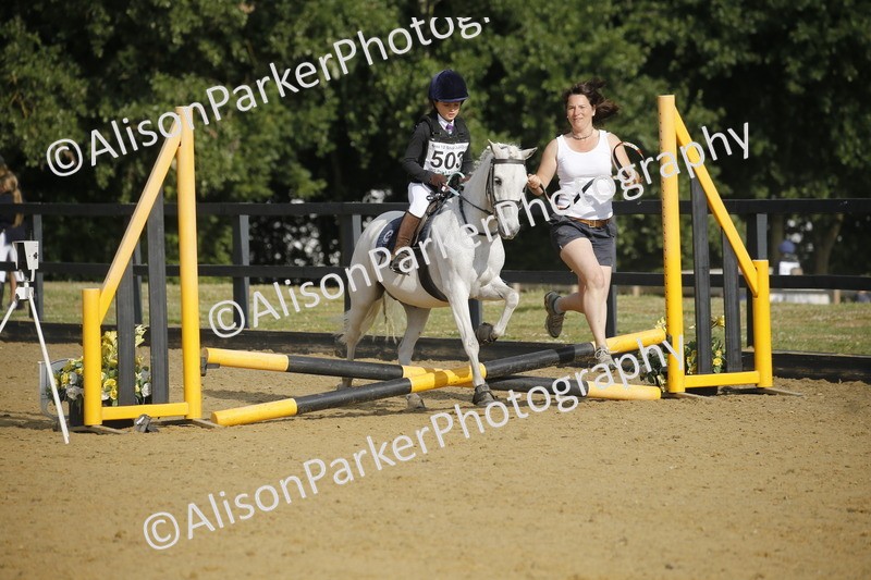 20250622-1169 - 40cm