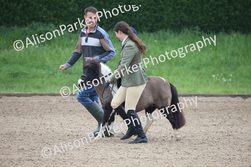 20260504-0099 - Class 9 - Lead Rein Pony