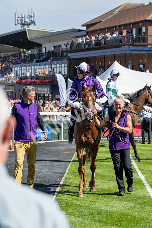 120826-Race 2-Empire Rising-5673 - Race 2 14.45pm 911 At Porsche Centre Hull EBF Restricted Maiden Stakes