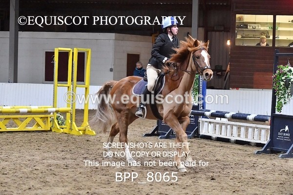 BPP_8065 - CLASS 1  Club/ Unaffiliated 60cms Open