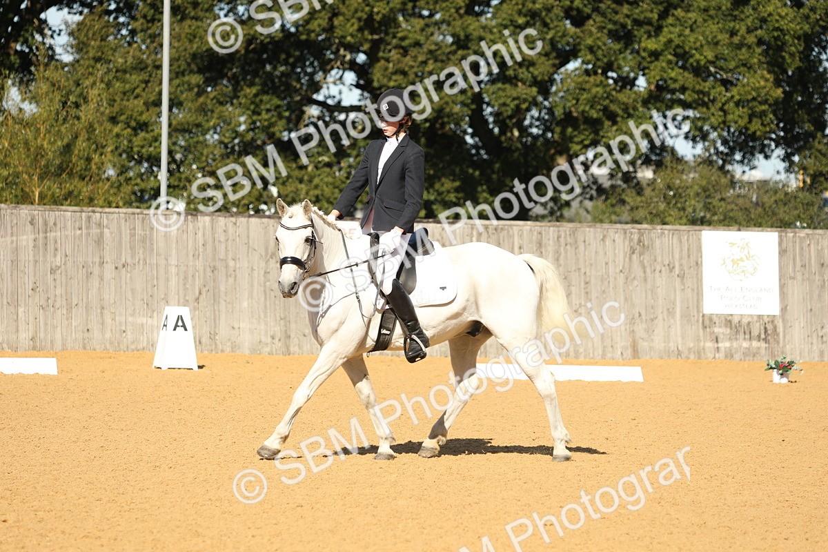 SBM_38018 - D21 - Junior Championship - Intro A