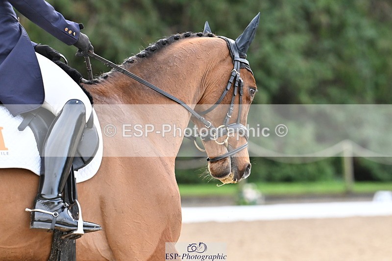 251023A-095542-00901 - A-005-Safia.Woodward