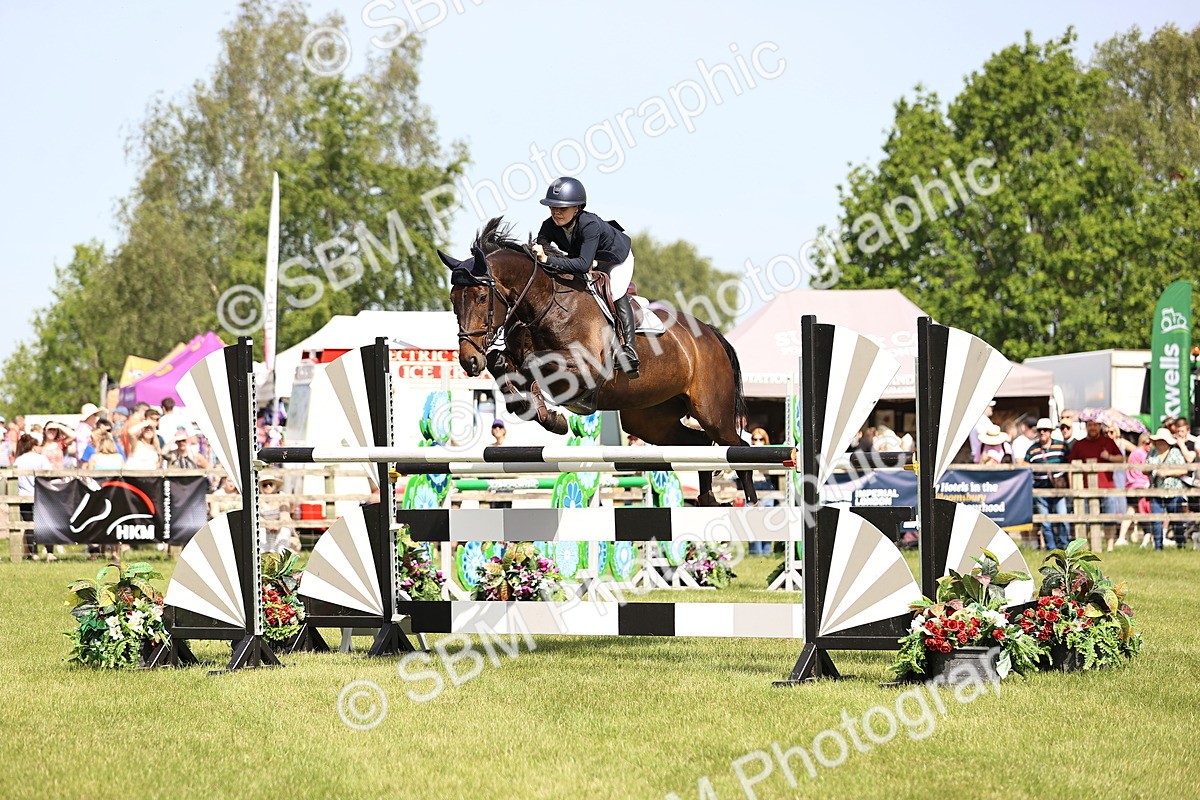 SBM_03132 - Class 201 - British Horse Feedds Speedi Beet HOYS Grade C