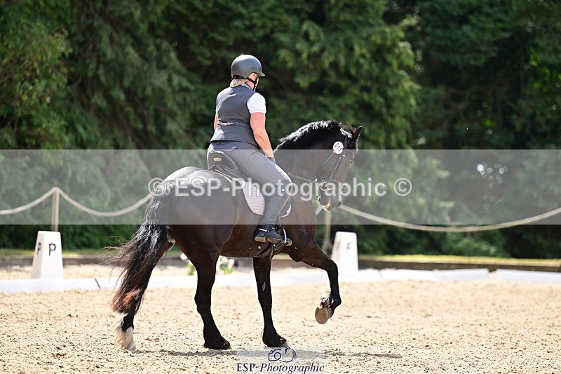260802A-115541-06009 - Novice Silver break- end