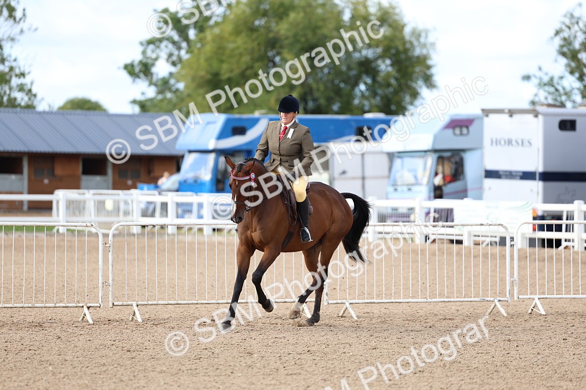 SBM_09162 - Class 303 - Ridden Pure Bred Horse Pony