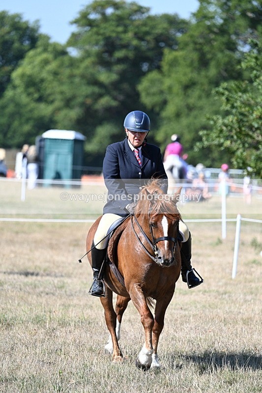 WJ7_3565 - Class 9 Mountain & Moorland Ridden