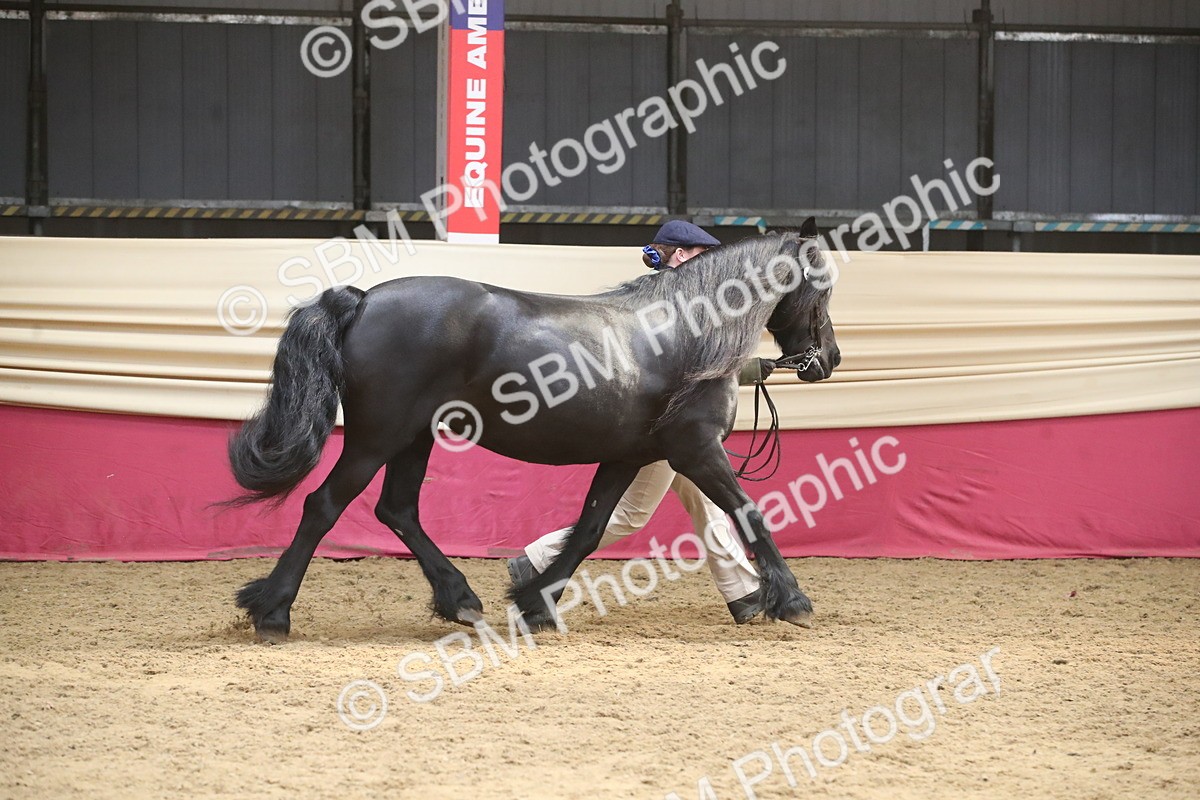 SBM_05547 - Class 9R - Regional IH Pre-Vet