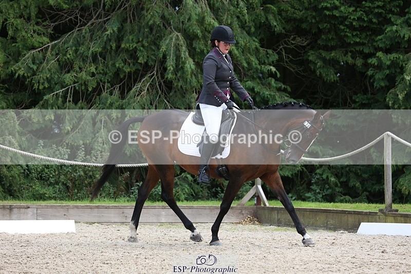 230812-135722-04349 - Cls 5 Novice Bronze 13.40 to 14.45 break