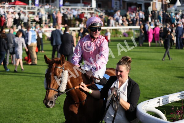 yr08102021r5-14 - Race 5 4.20pm Copper Knight - Winning Most Horse At York Handicap