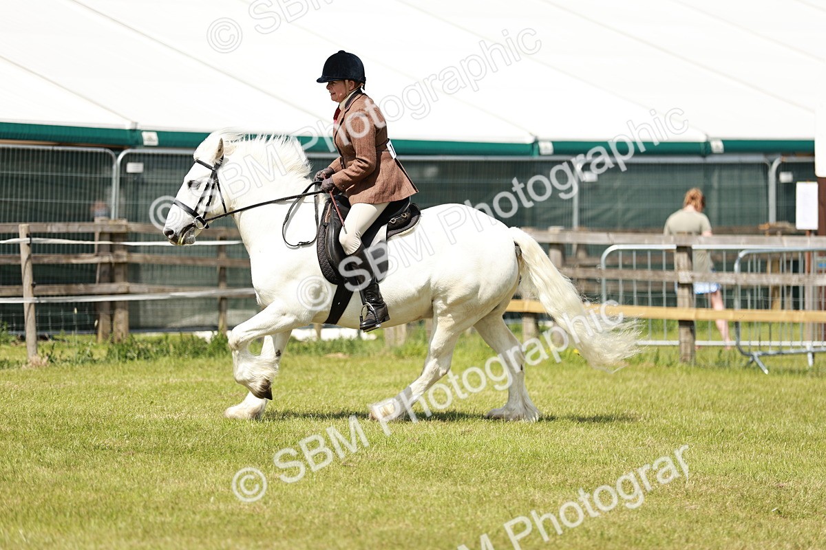 SBM_07079 - Class 26-30 - Mountain and Moorland Ridden