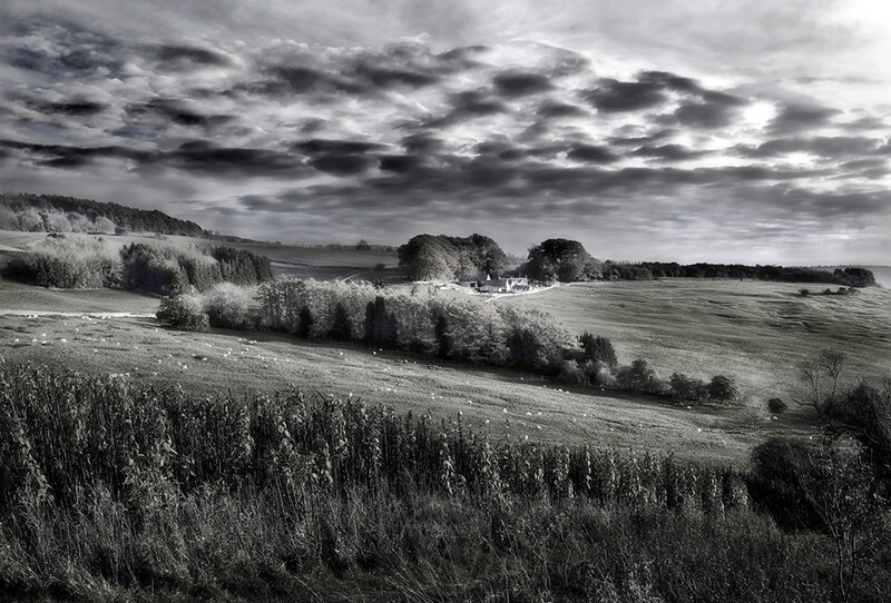 Farmland The Cotswolds England - Monochrome