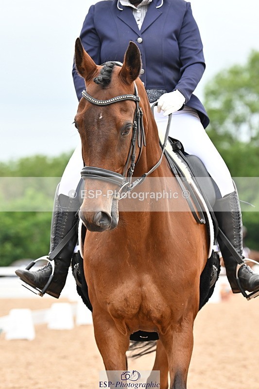 240623A-113033-17506 - Cls 48 BD Novice 37A