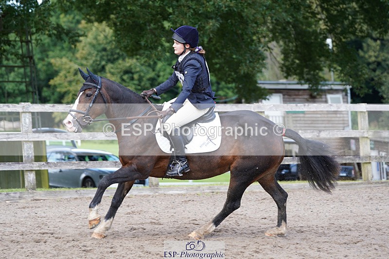 240824X-141342-28084 - 80cm Round 1 14.00 to 15.30