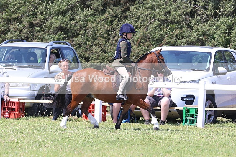 JPP_2330 - Class 20: Tiny Tots Working Hunter Pony