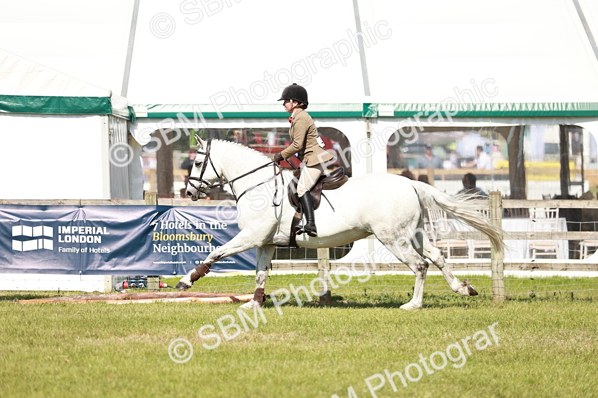 SBM_18536 - Class 112-113 - BSPS LIHS Working Sports Pony