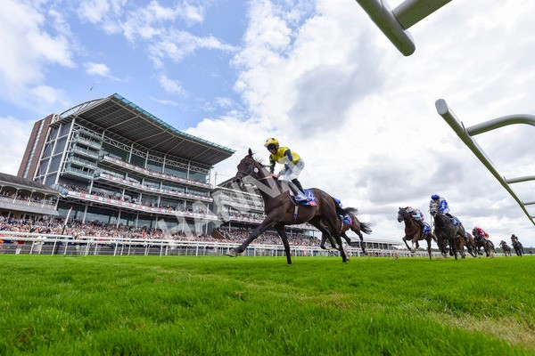 240824-Race 2-Tabletalk-4490 - Race 2 2.25pm Sky Bet Melrose Handicap