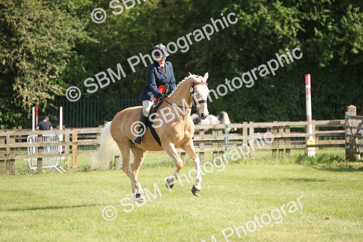 SBM_09723 - Class 33-38 - SSADL RIHS Qualifiers