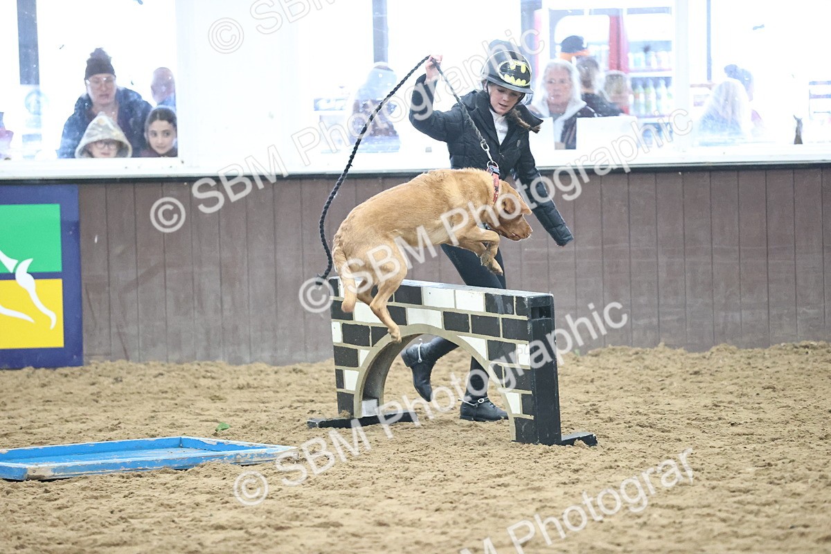 SBM_001313 - Class 3 - Horse & Hound 60cm