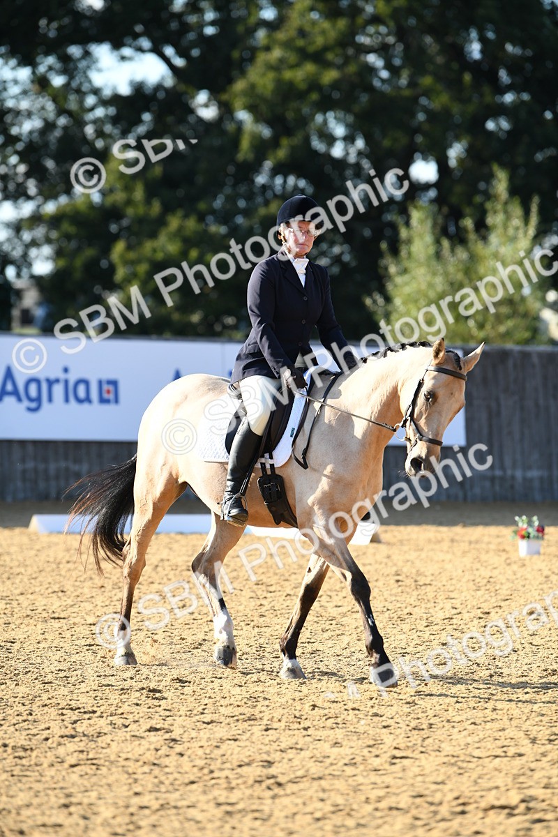 SBM_28481 - D16 - Small Tour Championship - Novice 28