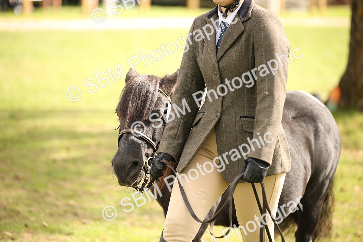 SBM_46378 - S25 - Mature Veteran In Hand