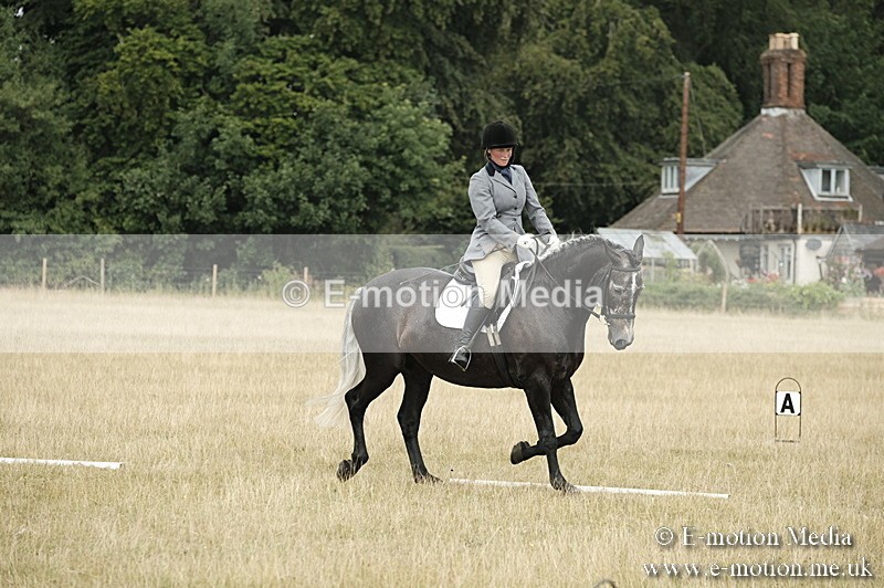 _PJP5755 - Dressage Classes BVRC Show 2018
