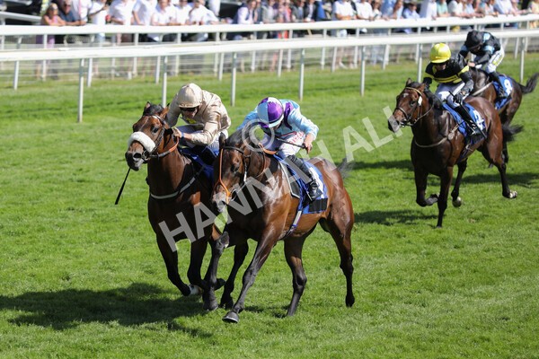 yr12062021r5-13 - Race 5 4.15pm Reg Griffin Appreciation EBFstallions.com Maiden Stakes