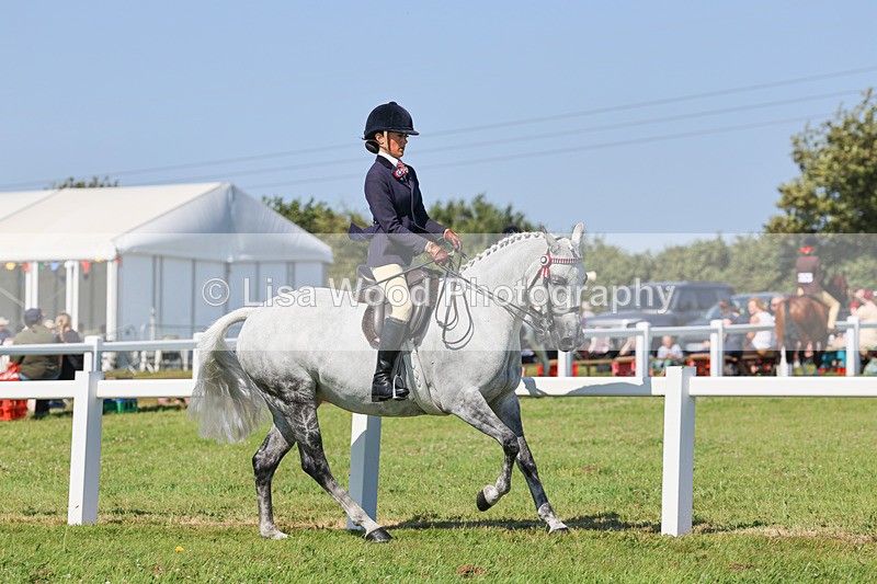 IMG_1895 - Class 33: Show Pony 148cm and under