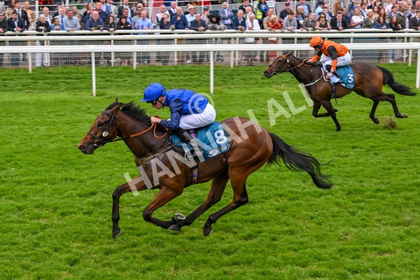 250524-Race 5-Burdett-3978 - Race 5 3.55pm William Hill Epic Boost Handicap