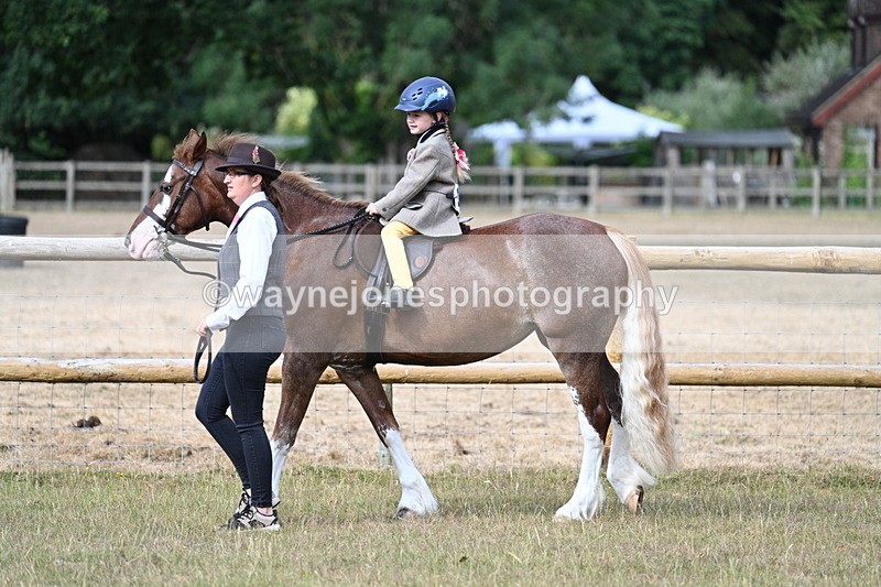 WJ7_6298 - Class 1 Lead Rein Pony