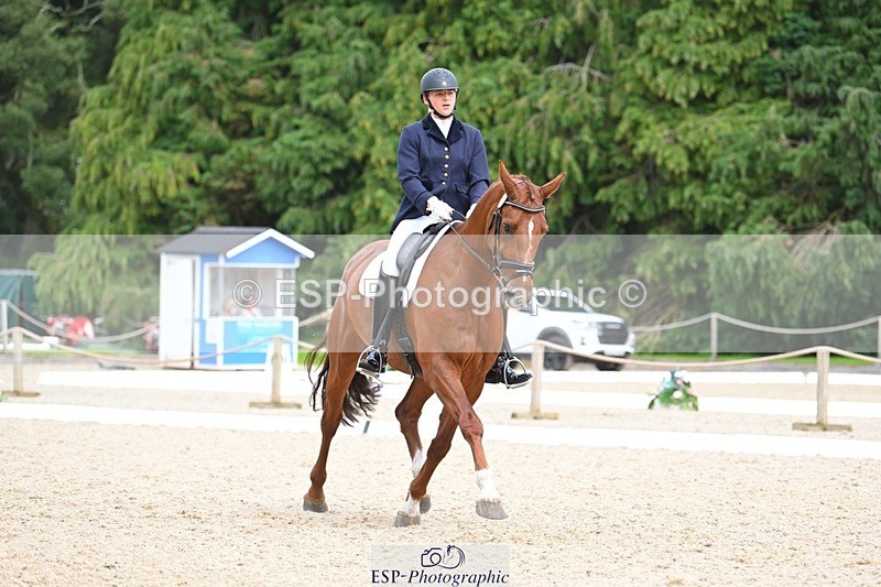 230813-135507-07644 - Cls 13 Medium Bronze 13.15 to End