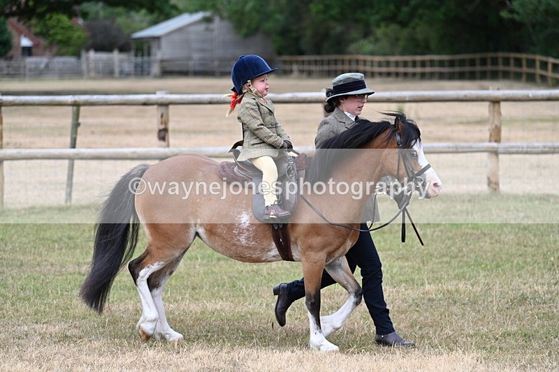 WJ7_9638 - Class 1 Lead Rein Pony
