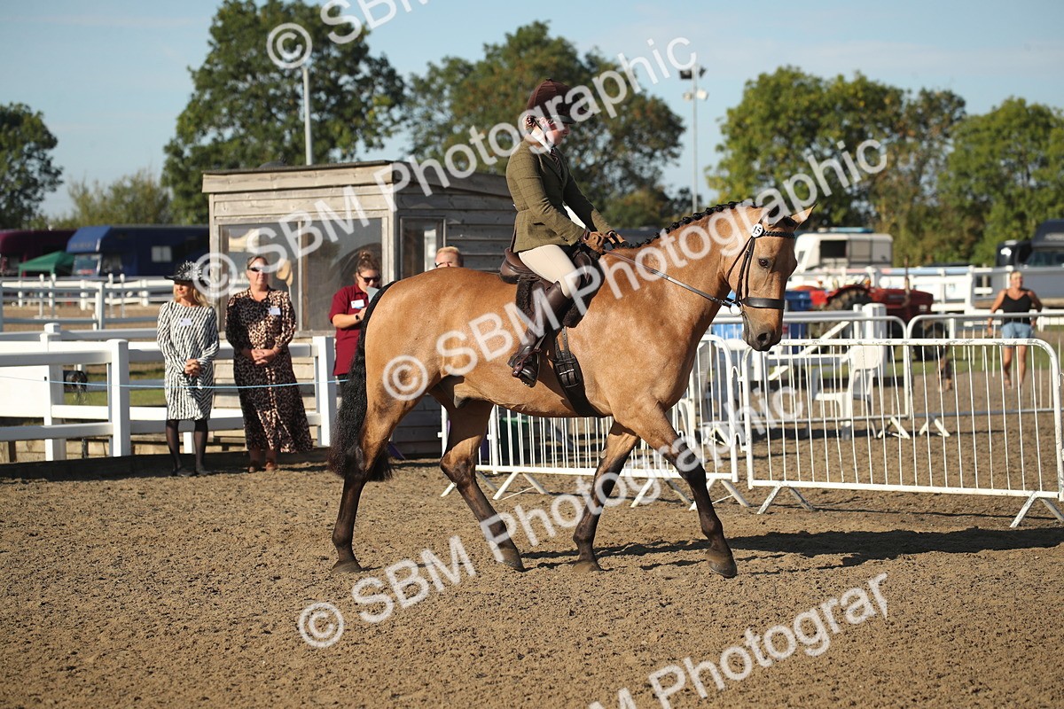 SBM_11251 - Class 501 -Riding Club Pony