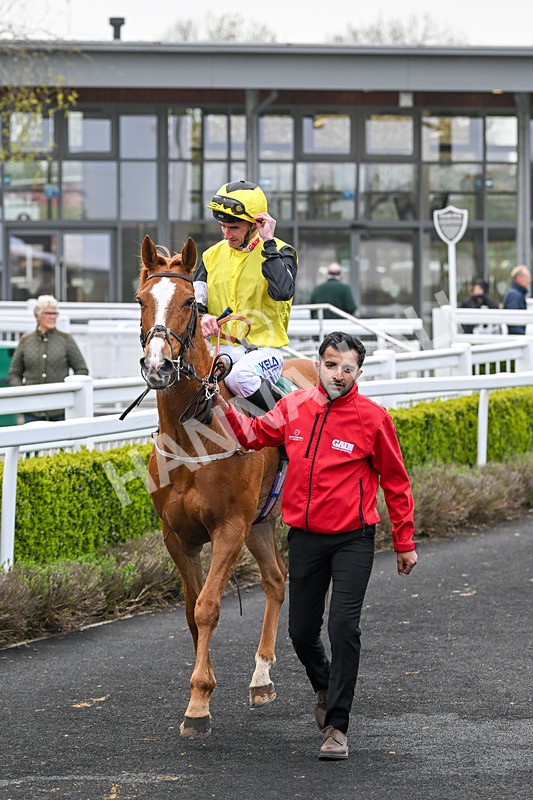 230425-Race 5-Capital Guarantee-0554 - Race 5