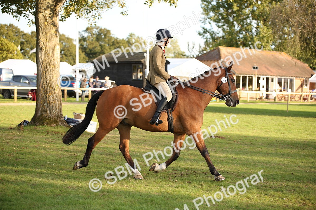 SBM_54410 - S27 - Mature Veteran - Ridden