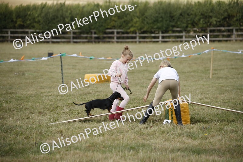 20250831-3898 - Dog Show